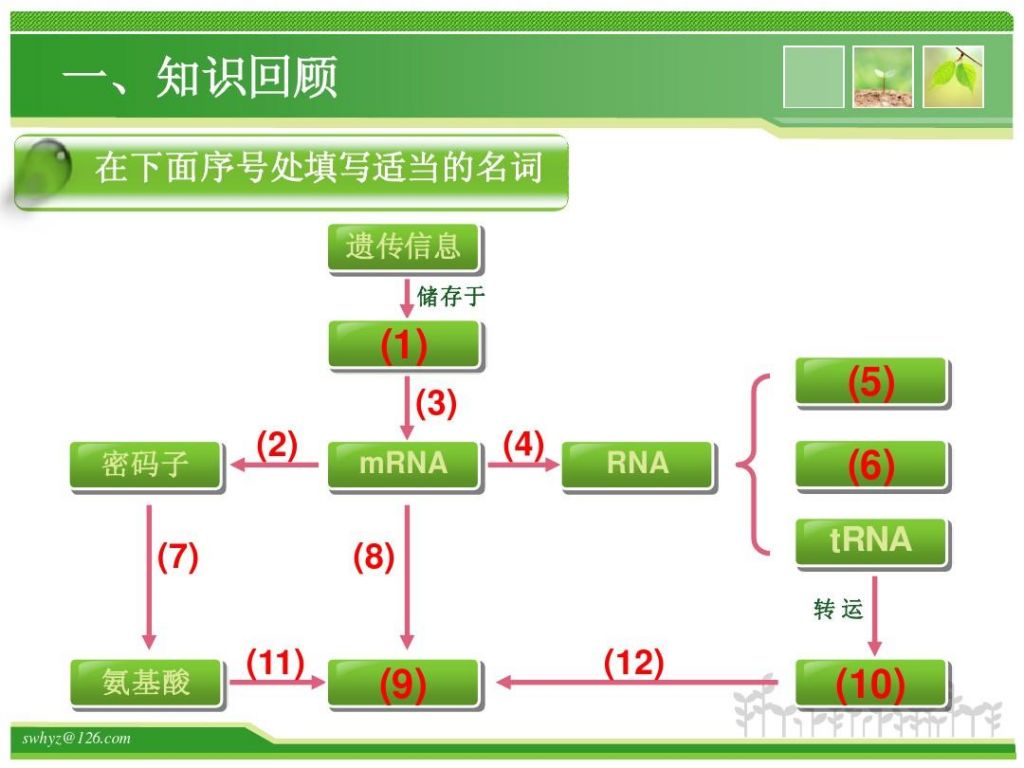 遗传信息储存在哪里(病毒的遗传信息储存在哪里)