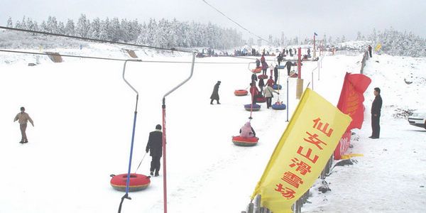 仙女山滑草场在哪里(仙女山滑草场在哪个景点)