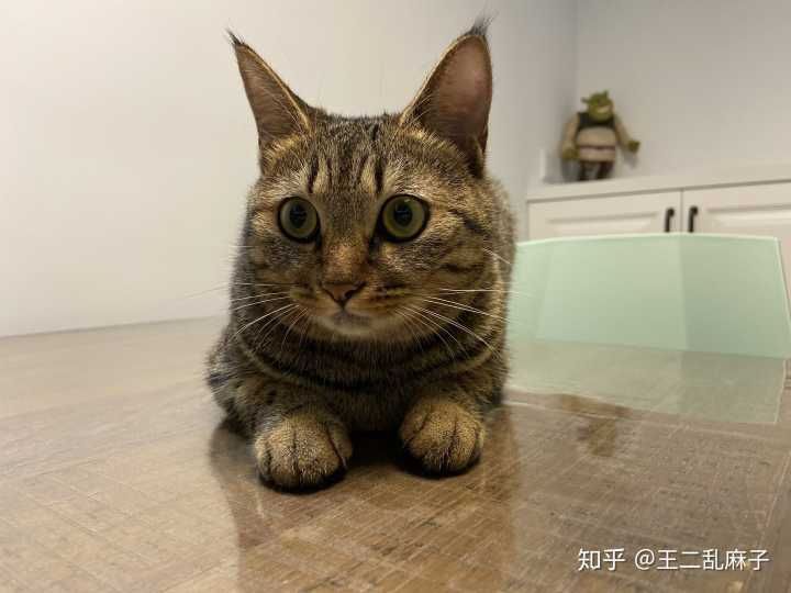 为什么啥干啥(为什么干啥啥不行)