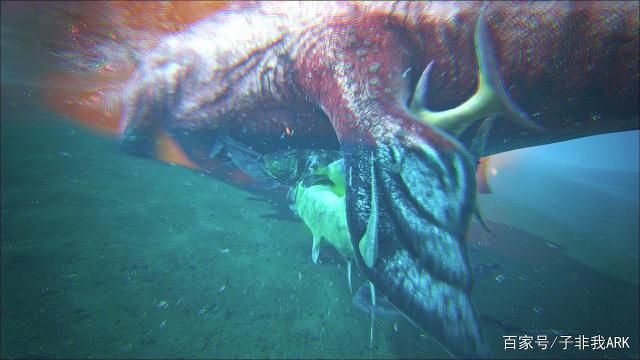 方舟鱼群在哪(方舟鱼群在哪里)