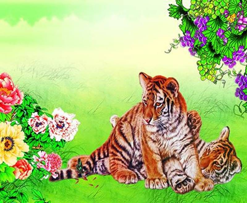 生肖虎的出生在哪个月份最好(86年生肖虎出生最苦命的月份)