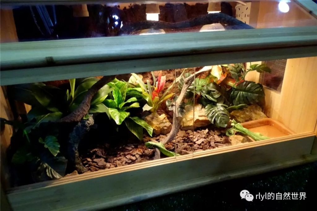爬宠店在哪的简单介绍