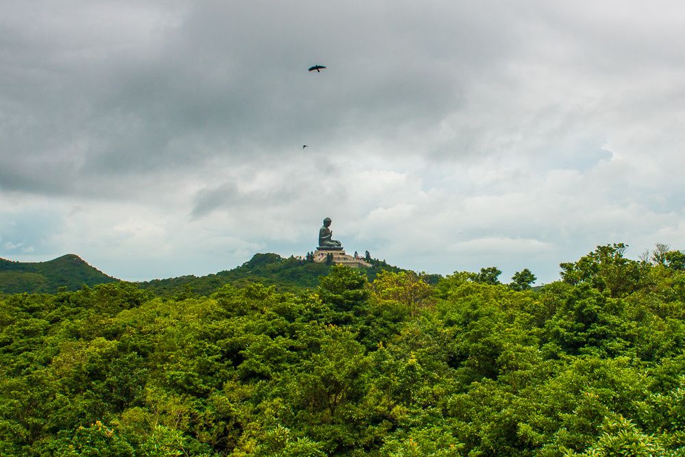 大屿山在哪里(大屿山天坛大佛)