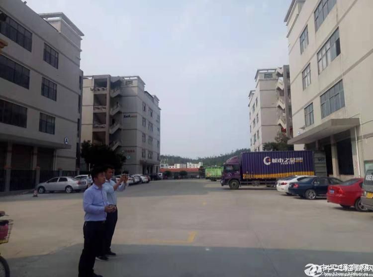 龙岗汽车检测站在哪里(乌鲁木齐汽车检测站在哪里)