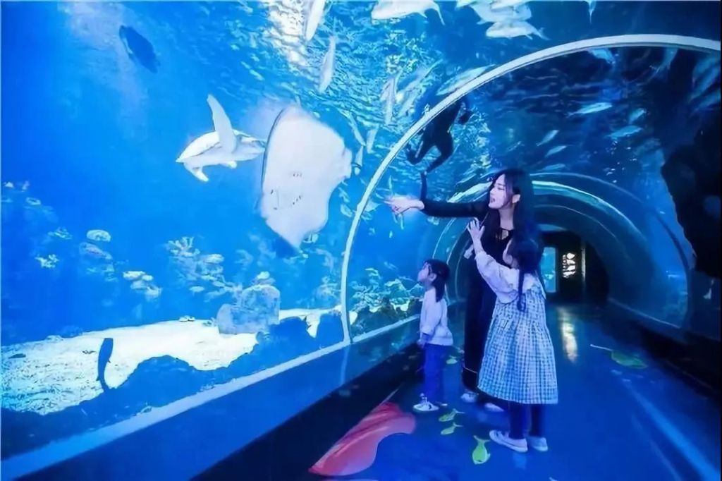 安阳海洋馆在哪个地方(中国最大的海洋馆在哪个地方)