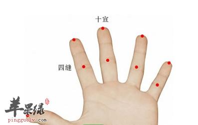 大拇指和食指之间穴位的简单介绍