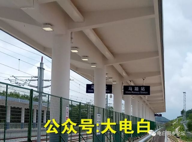 电白高铁站建在哪里(电白有高铁站设在哪里)