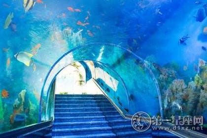 海南海洋馆在哪里(海南最大的海洋馆在哪里)