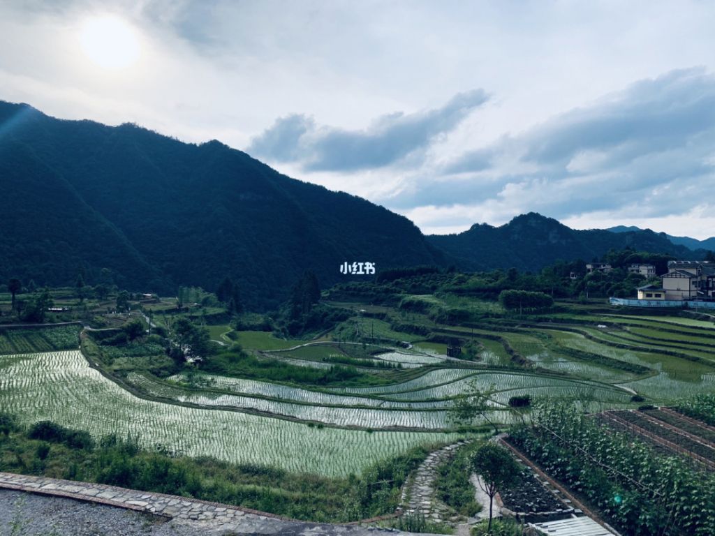 梓木岗在哪(武陵源梓木岗)