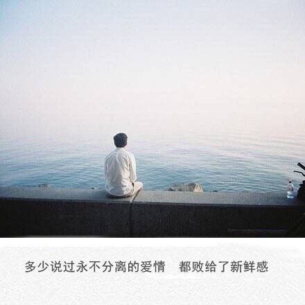 包含以前不喜欢你的人的词条