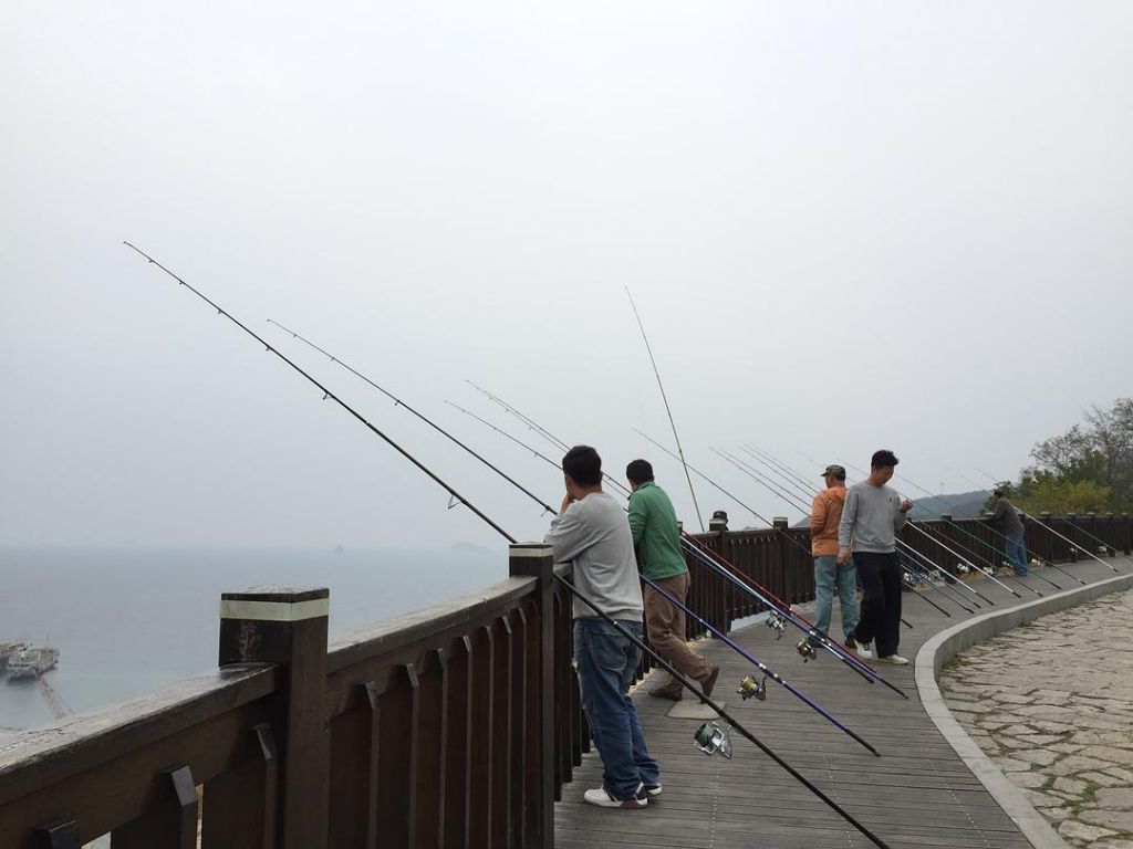 大连东港钓鱼地方在哪(大连东港打疫苗的地方在哪)