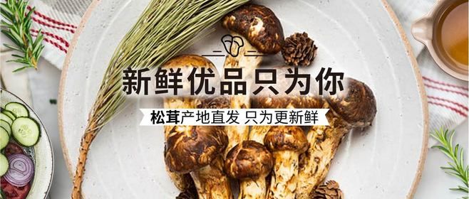 松茸产地在哪(松茸是哪里的特产)