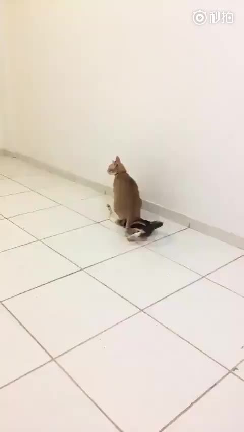 喂喂喂在哪个(喂喂喂哪个问题心里)