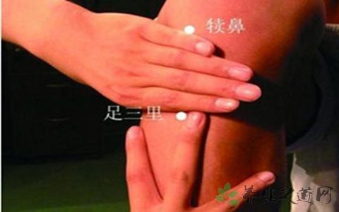 足三里在哪里(瓒充笁閲屽湪鍝噷鍥剧墖)