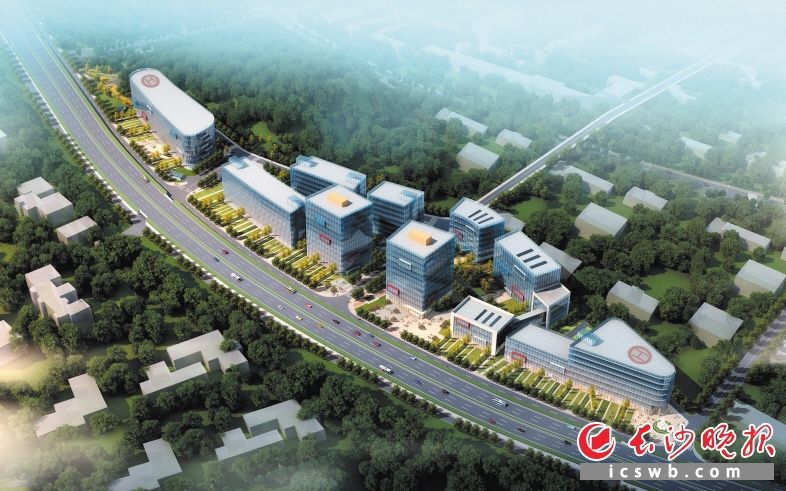 长沙大学城在哪个区域的简单介绍
