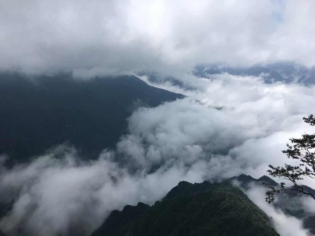 龙山头在哪里(龙山书院在哪里)
