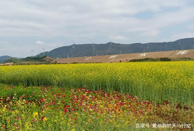 花地在哪(花地在哪里)