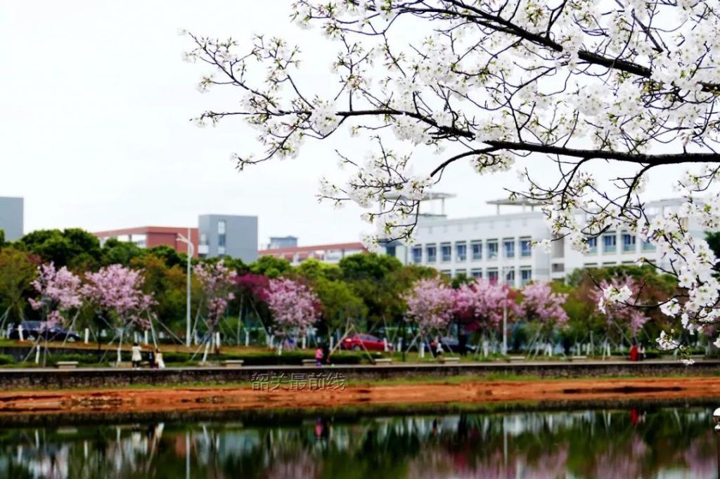 韶关学院在哪个镇(韶关学院学前教育在哪个校区)
