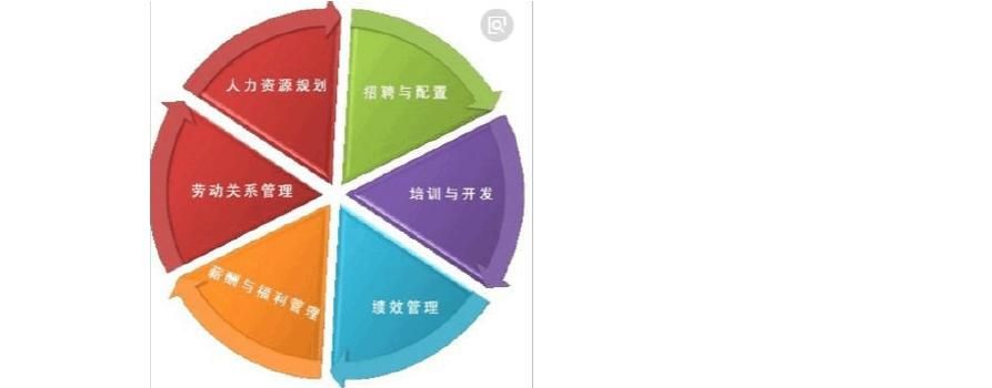 人力资源的作用体现在哪些方面(人力资源管理的地位和作用有哪些)