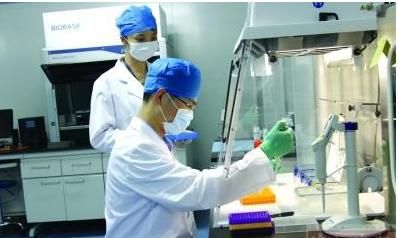 dna亲子鉴定在哪里(dna亲子鉴定在哪里可以做)