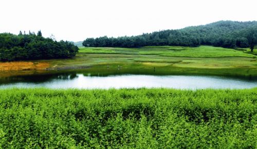 野马川在哪里(野马川顺丰快递在哪里)