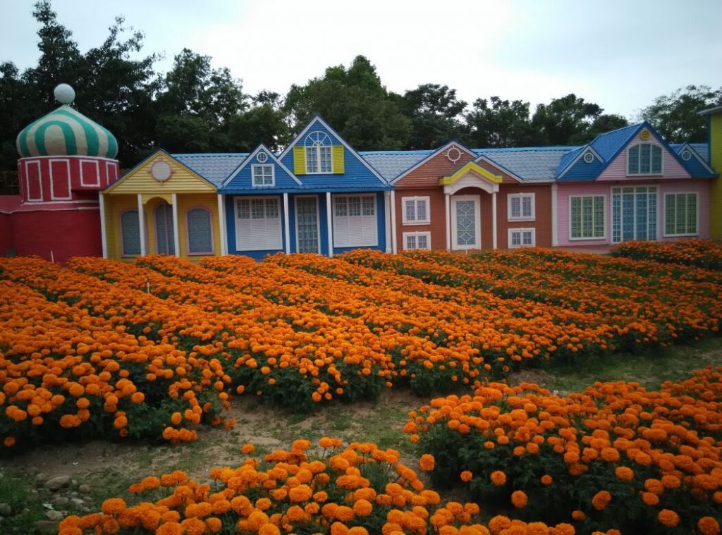 深圳百花洲在哪里(深圳梦幻百花洲在哪里)