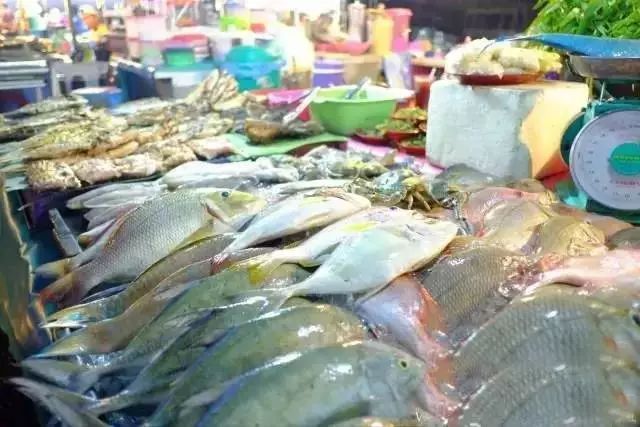 郑州批发食品市场在哪(郑州批发食品市场在哪个区)