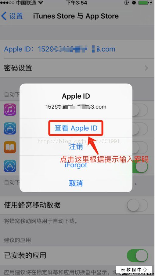 苹果手机id英文怎么办(苹果手机id账号和密码忘了怎么办)
