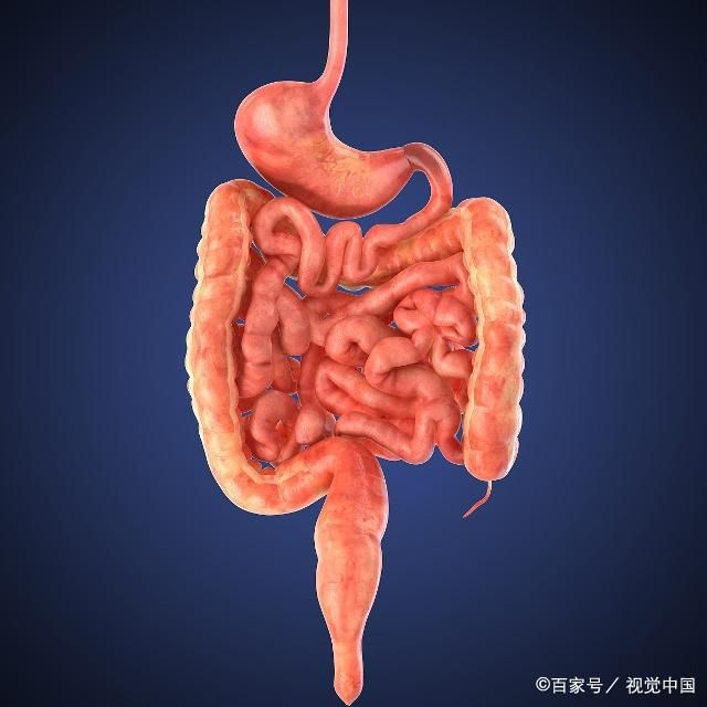 人体大便在哪里储存(大便都是在哪里储存着)