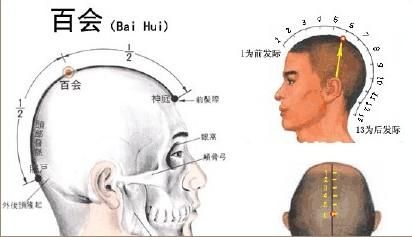 包含百会穴在哪儿的词条