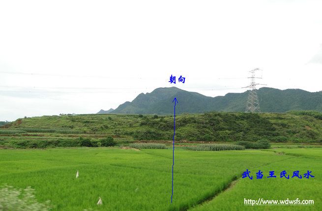 案山在哪(鞍山在哪里)