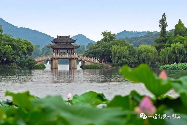 杭州南湖在哪里(杭州南湖钓鱼的地方在哪里)