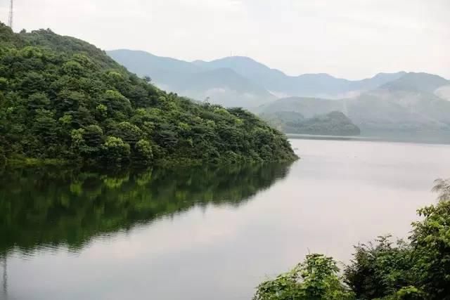 老虎潭水库在哪里(老虎潭水库可以钓鱼吗)