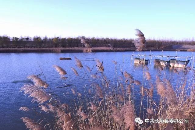 关于长垣桃园在哪的信息