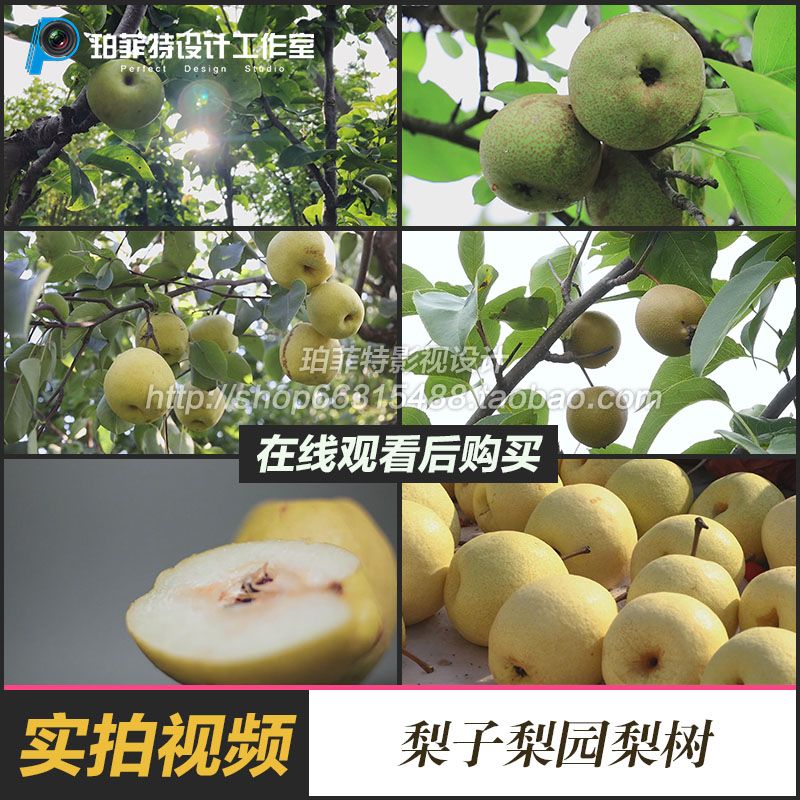 梨子高清视频(削梨子的方法视频)