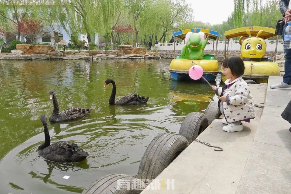 郑州动物园在哪(郑州市动物园门票多少钱)