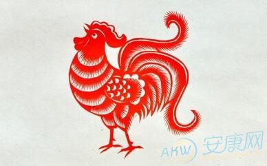 2005年的属鸡运势(2005年属鸡的一生运势如何)