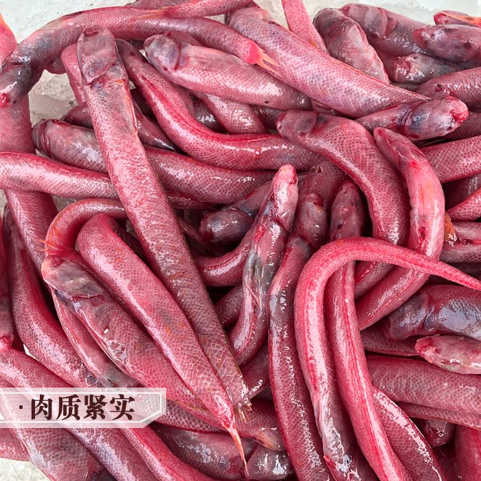 血与在哪里(腐血鳕鱼在哪里)