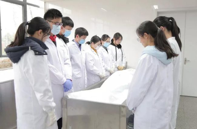 在哪学医最好(学医考哪个大学最好)