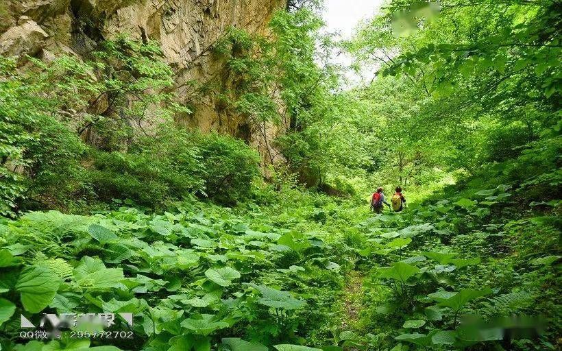 鲍家沟在哪里(鲍家花园在哪里)