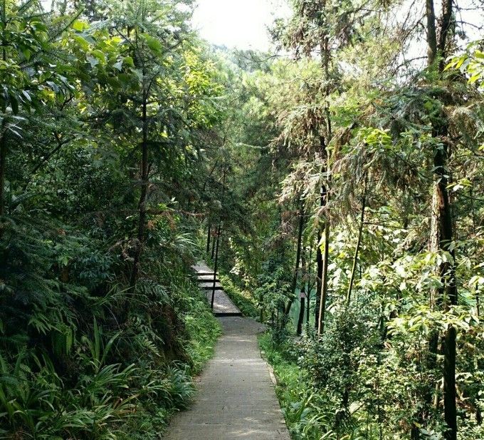 九凤山在哪个位置的简单介绍 九凤山在哪个位置的简单介绍