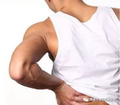 肚疼后背疼挂哪个科(胳膊疼后背疼挂什么科)