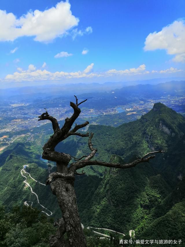 望峰在哪里(衡山望峰乡地图)