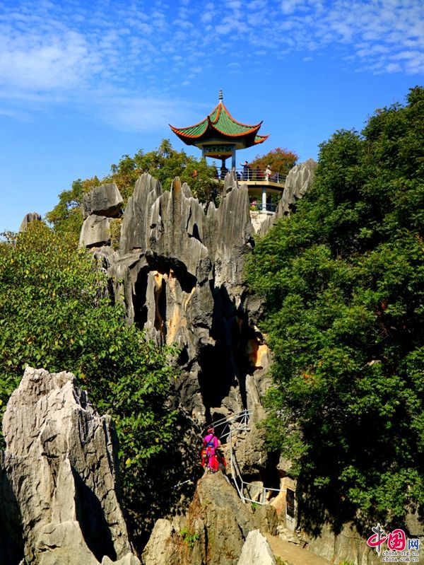 望峰在哪里(衡山望峰乡地图)