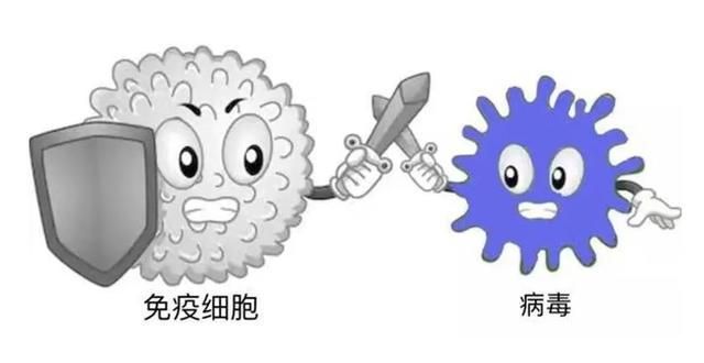接种新冠疫苗就是抵抗疫情(新冠rna病毒为什么有疫苗)