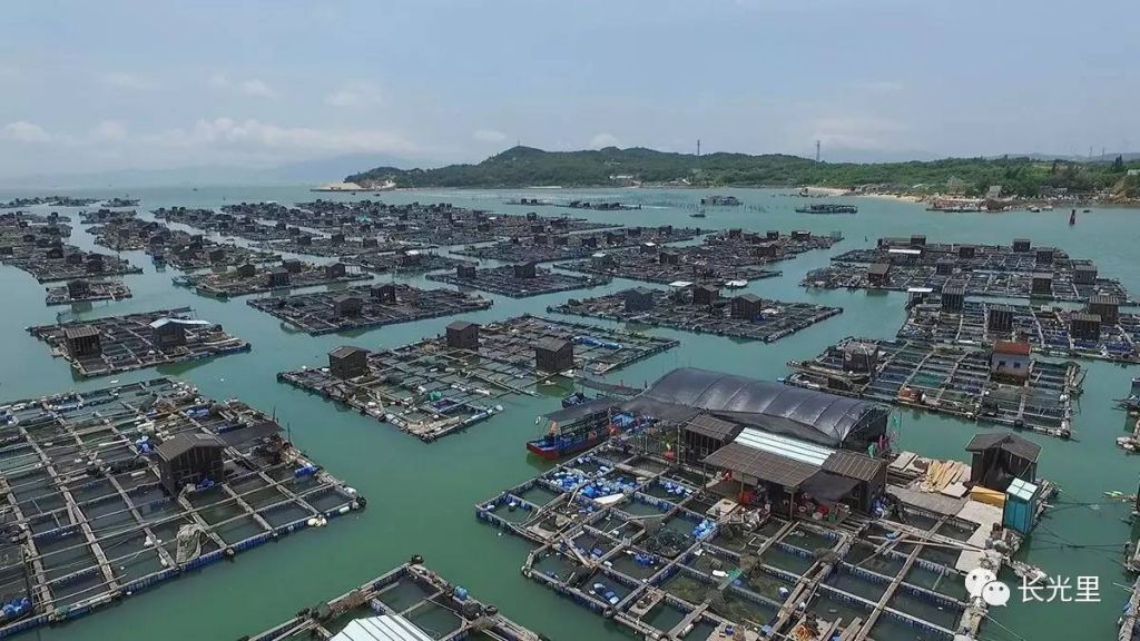 饶平的鸡窝都在哪里(饶平黄冈水晶宫怎么样)