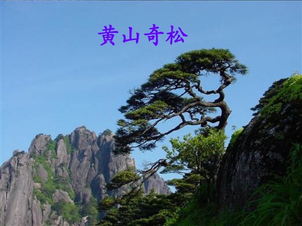 黄山奇石的奇在哪里(黄山奇石奇在哪里二年级)