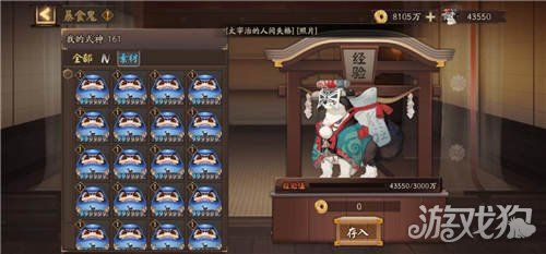 阴阳师流浪猫在哪(阴阳师和小动物玩耍一次)