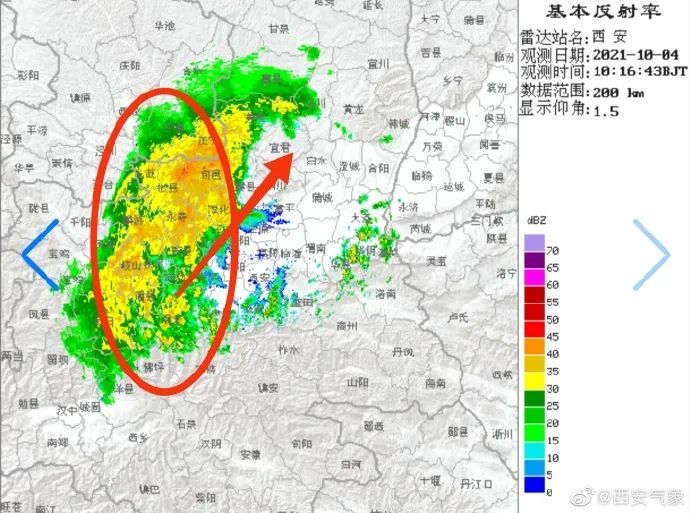 冷冷在哪里(冷冷为什么叫公交冷)