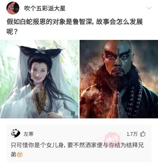 可笑的段子视频(搞笑段子视频大全爆笑)